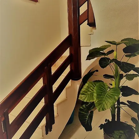 Apartment Paraiso Sol Da Rocha *